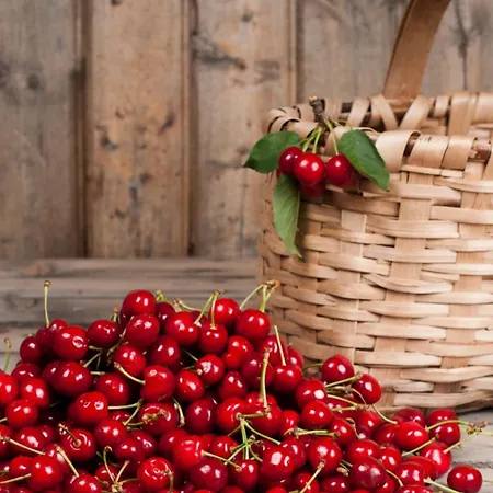 Casa Duas Fontes Feriehus *