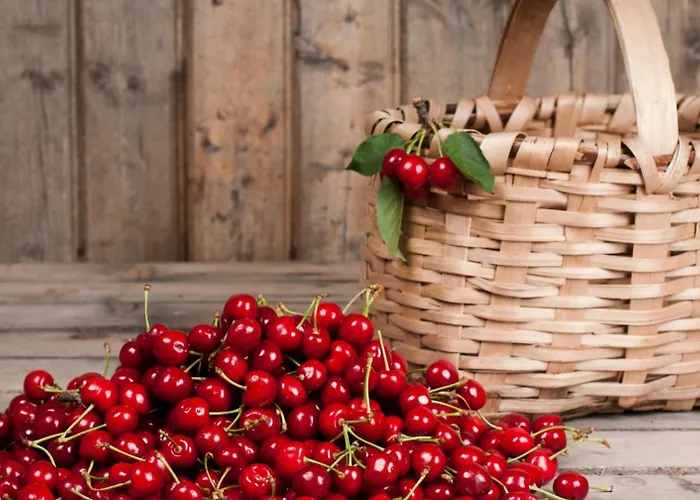 Casa Duas Fontes Hébergement de vacances *